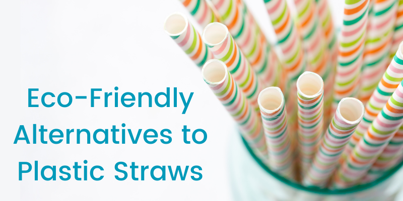 Starbucks to replace Plastics Straws by Paper and Biodegradable