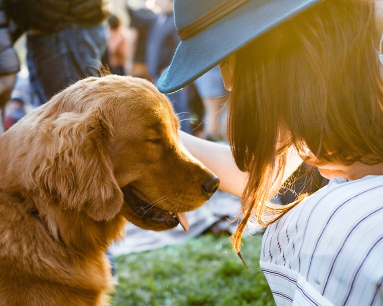 Golden-hour photo of a golden retriever with eyes closed while being gently petted by a person wearing a wide-brim hat; the two are close together outdoors with a softly blurred crowd in the background.
